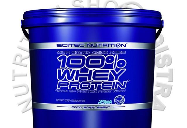 Prodaja Whey proteina 100